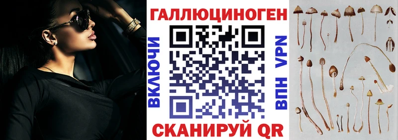 shop формула  Старица  Псилоцибиновые грибы мухоморы 