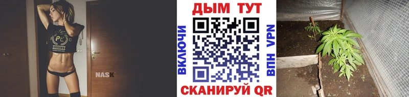 закладки  shop официальный сайт  Канабис SATIVA & INDICA  Старица 